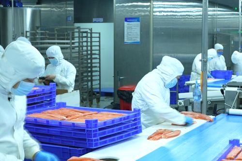 新疆真的产 海鲜 请随记者到天山看一看 图说新闻